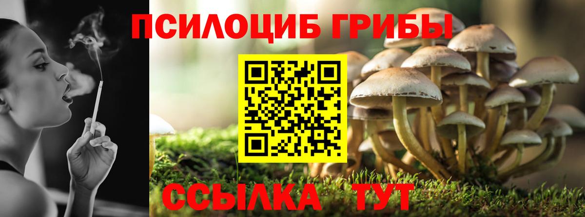 Галлюциногенные грибы мицелий  Вход с VPN  Миллерово 